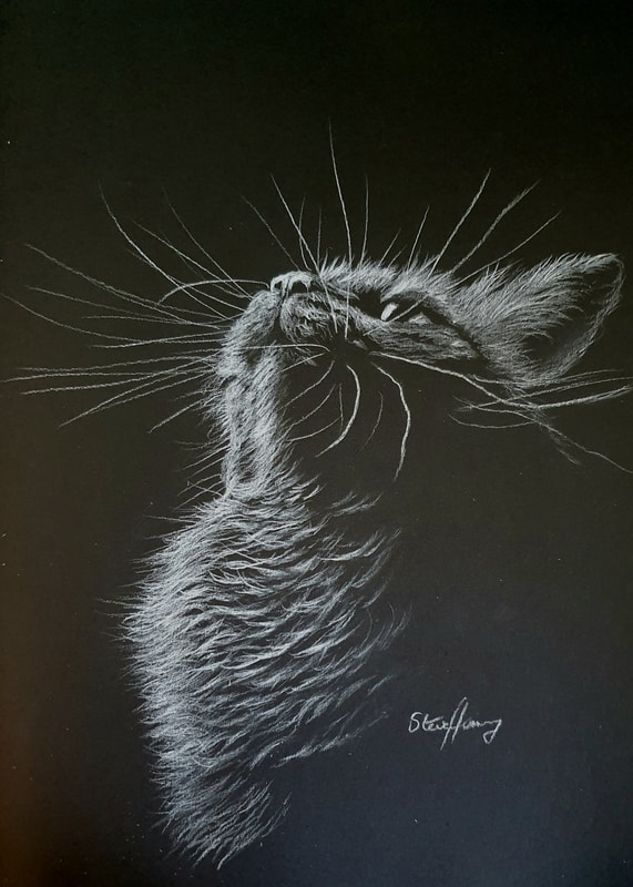 Leopard, white pencil on black paper. : r/drawing